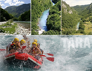 http://www.visit-montenegro.com/images/excursions/tara.jpg